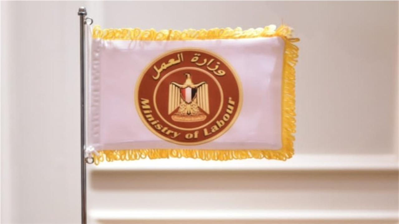 براتب 450 دينارًا.. وزارة العمل توضح تفاصيل فرص توظيف المصريين بالأردن